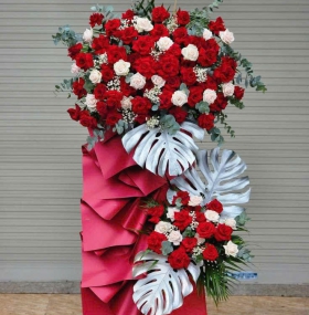 HOA KHAI TRƯƠNG 14