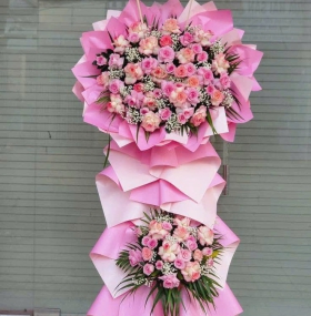 HOA KHAI TRƯƠNG 13