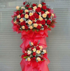 HOA KHAI TRƯƠNG 12