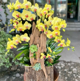 Giỏ hoa mẫu 05