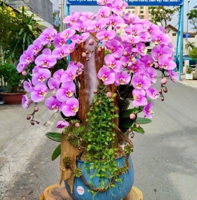 Giỏ hoa mẫu 04