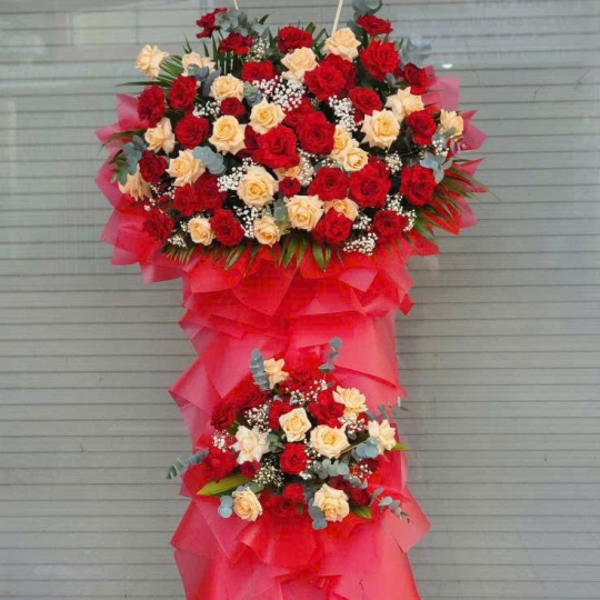 HOA KHAI TRƯƠNG 12