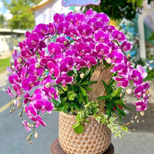 Giỏ hoa mẫu 02