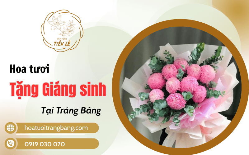 hoa tặng giáng sinh