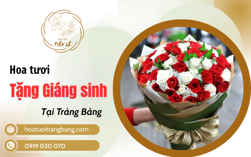 hoa tặng giáng sinh