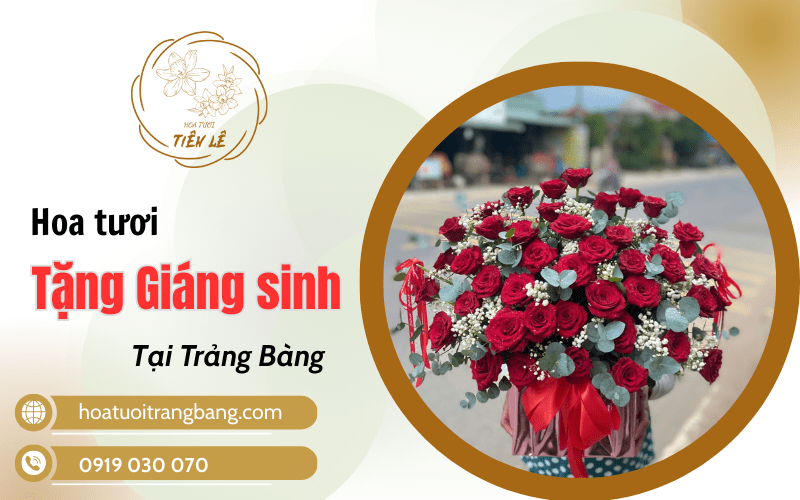 hoa tặng giáng sinh