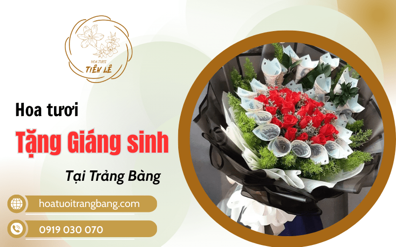 hoa tặng giáng sinh