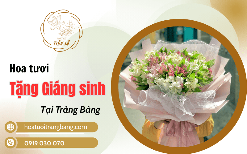 hoa tặng giáng sinh